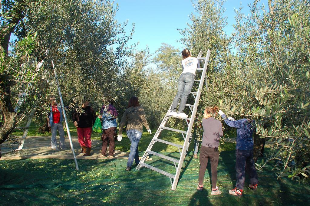 Il Podere Di Giustina Vila Montecarlo Exterior foto