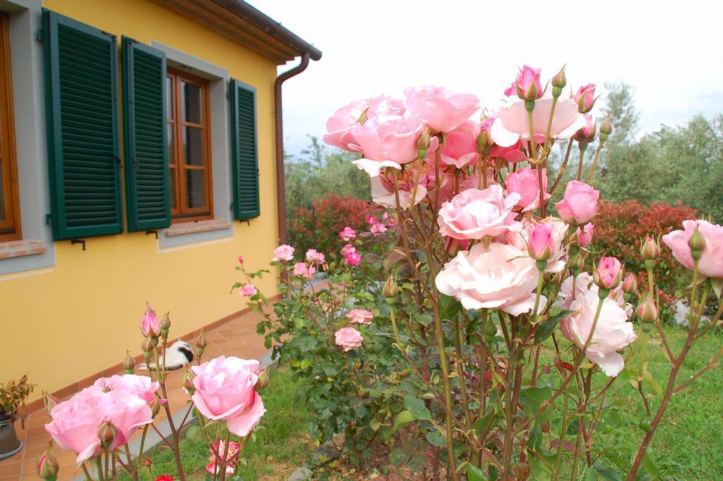 Il Podere Di Giustina Vila Montecarlo Exterior foto